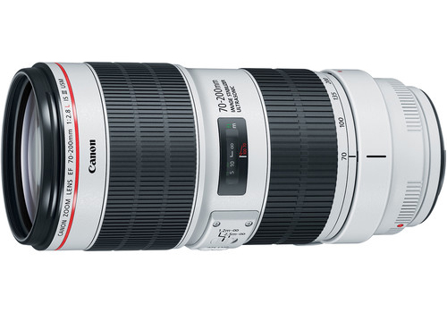 Canon 70-200mm f/2.8L Lens